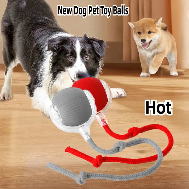 Rolling Ball Toy